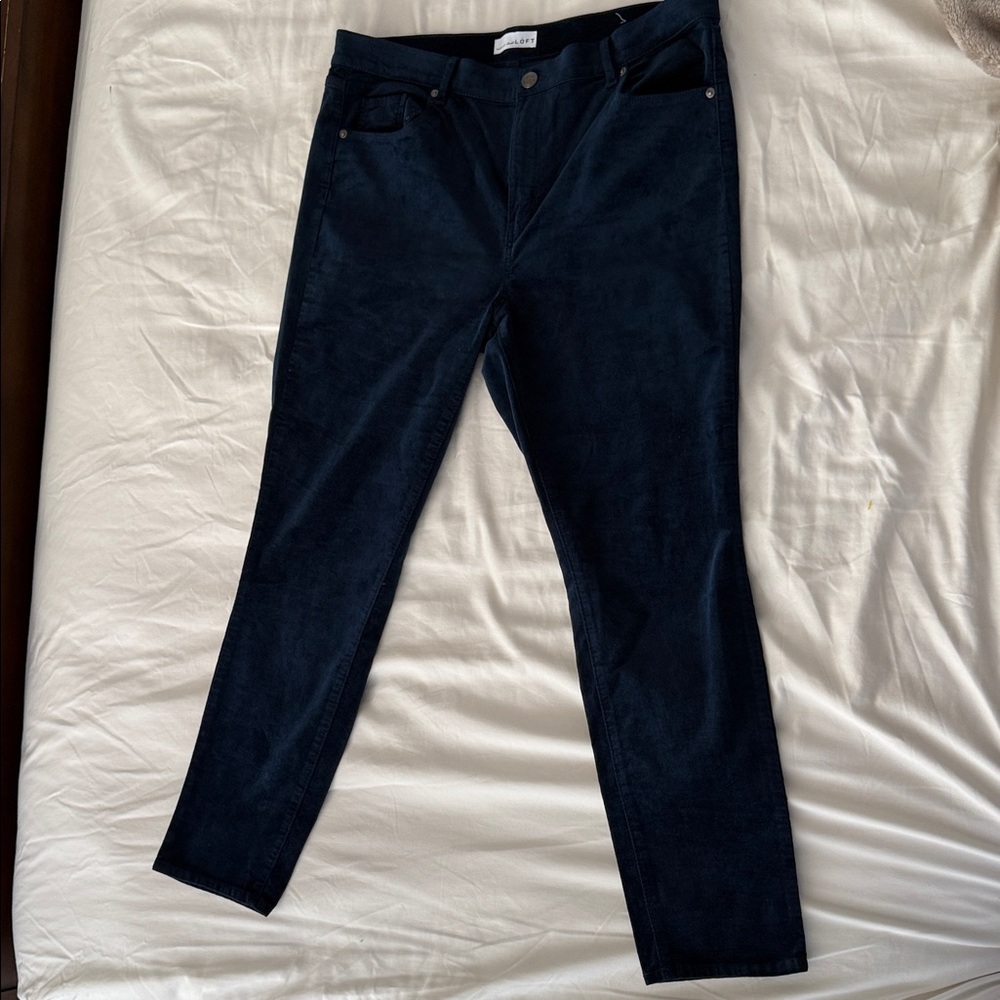 LOFT Women's Dark Blue Skinny Pants